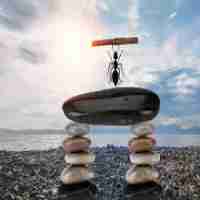 淘﻿宝﻿自​然​流‌量‍怎﻿么​做​